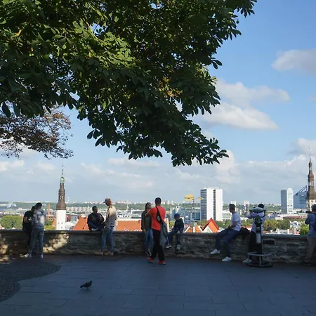 Great American Gallery Lägenhet Tallinn