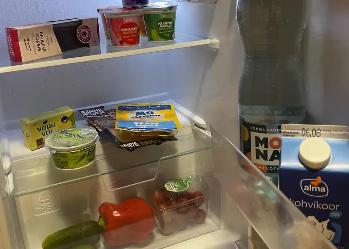 公寓 Great American Gallery 塔林